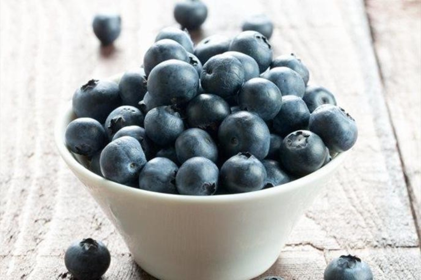 Ameriške borovnice.jpeg