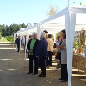 Nekateri obiskovalci so si z zanimanjem ogledovali ponudbo na stojnicah