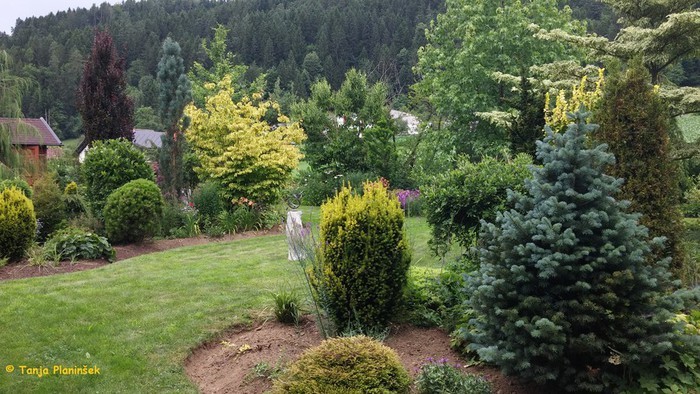 Parki in ob-hišni vrtovi so tudi zelo pomembni.