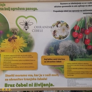 Pomenljiv plakat o čebelah.