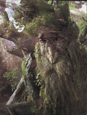 Bradodrev je ent, ki ga je za Gospodarja prstanov ustvaril J. R. R. Tolkien