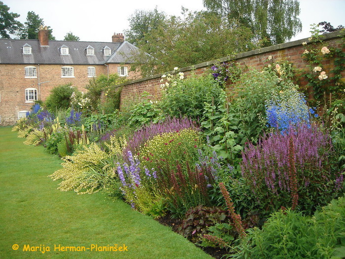 Dobro je, da so rastline, ki cveto v istem času, posajene bolj skupaj