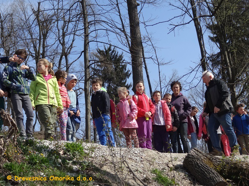 Otrokom iz osnovne šole so razložili zakaj se pogozduje po žledu uničen gozd