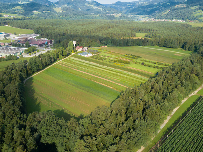 drevesnica_urejanje_vrtov/drevesnica_omorika-2