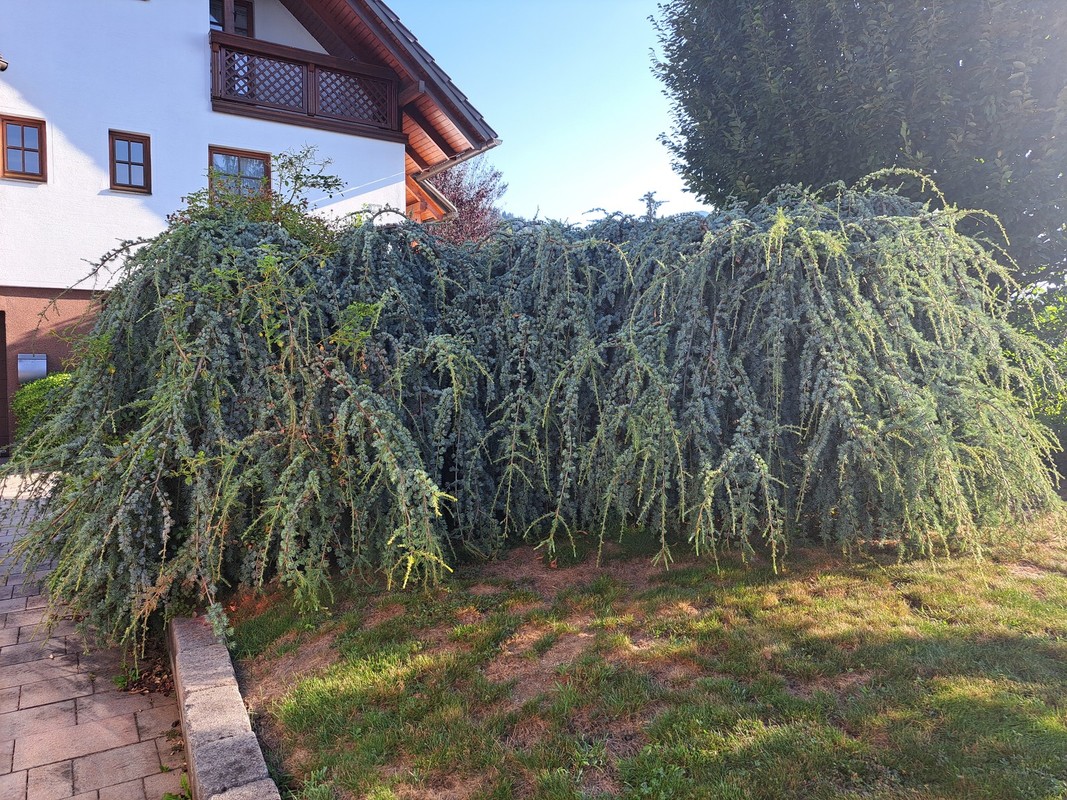 20250820_082559.jpg