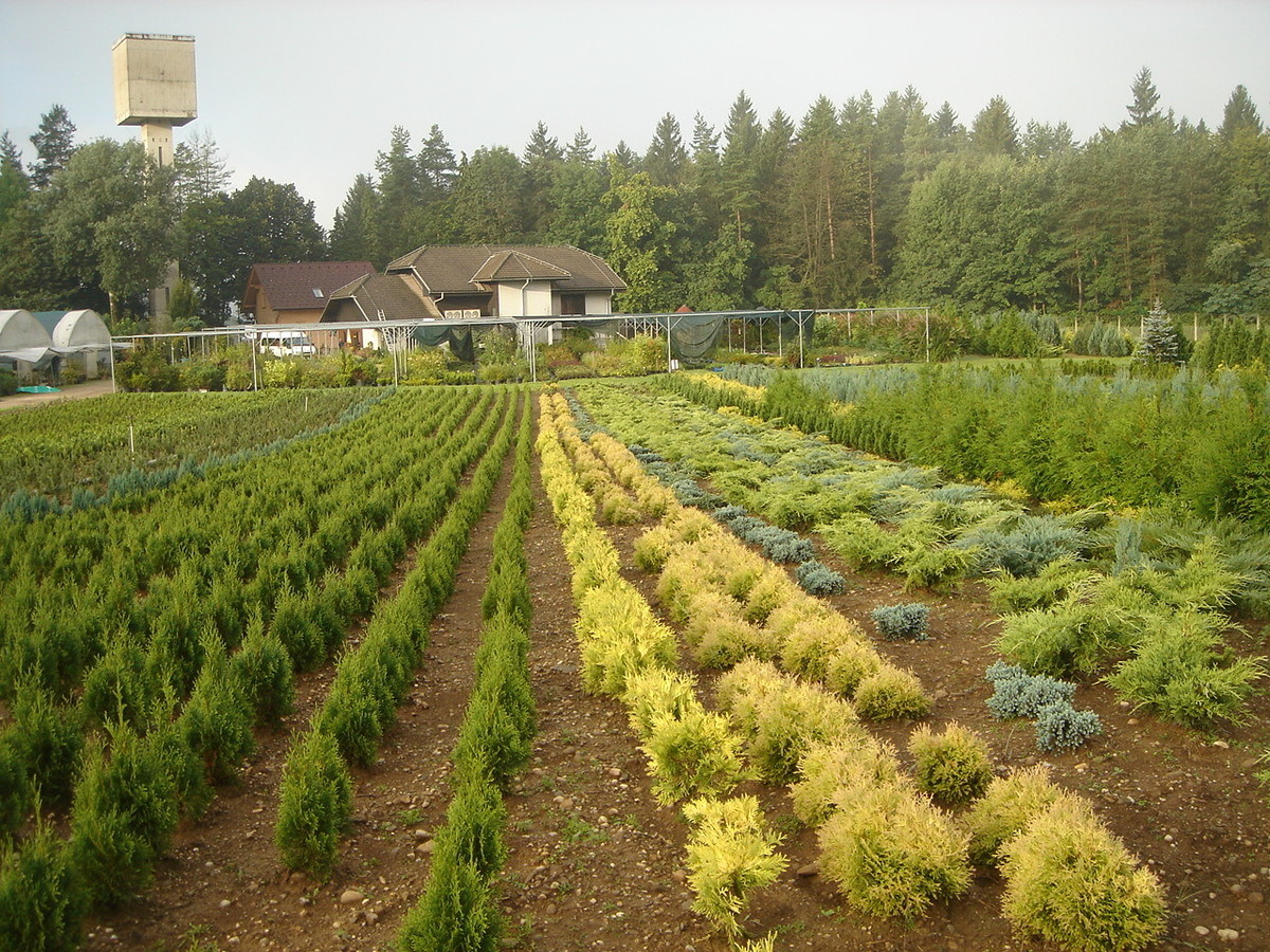 Poletje 2007 527.jpg