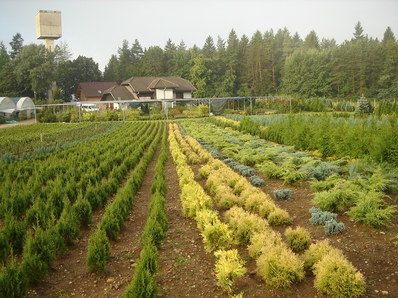 Poletje 2007 527.jpg