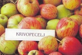 Krivopecelj