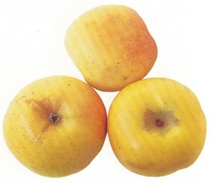 Mošancelj.jpg